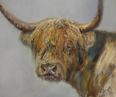 bull.jpg